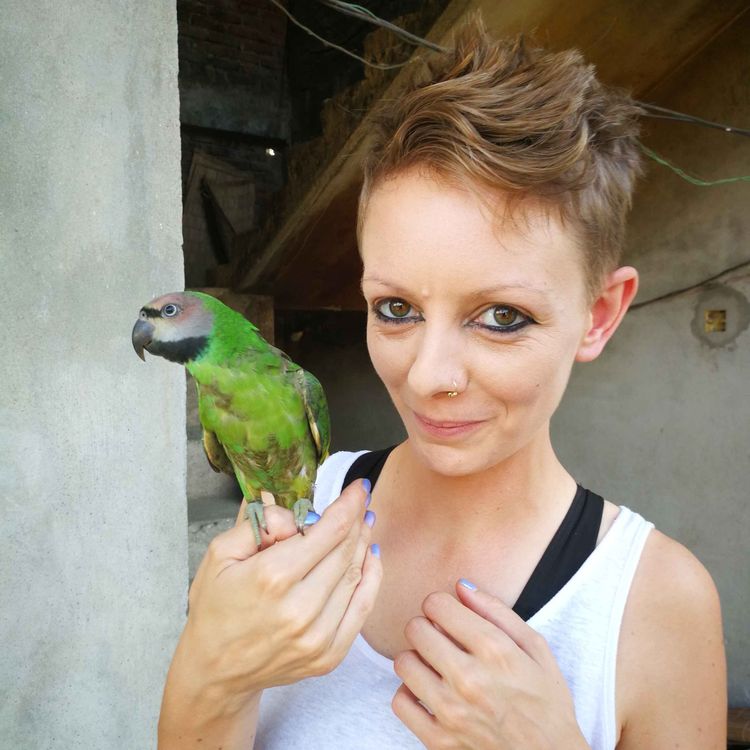 cover art for Eleanor Walsh