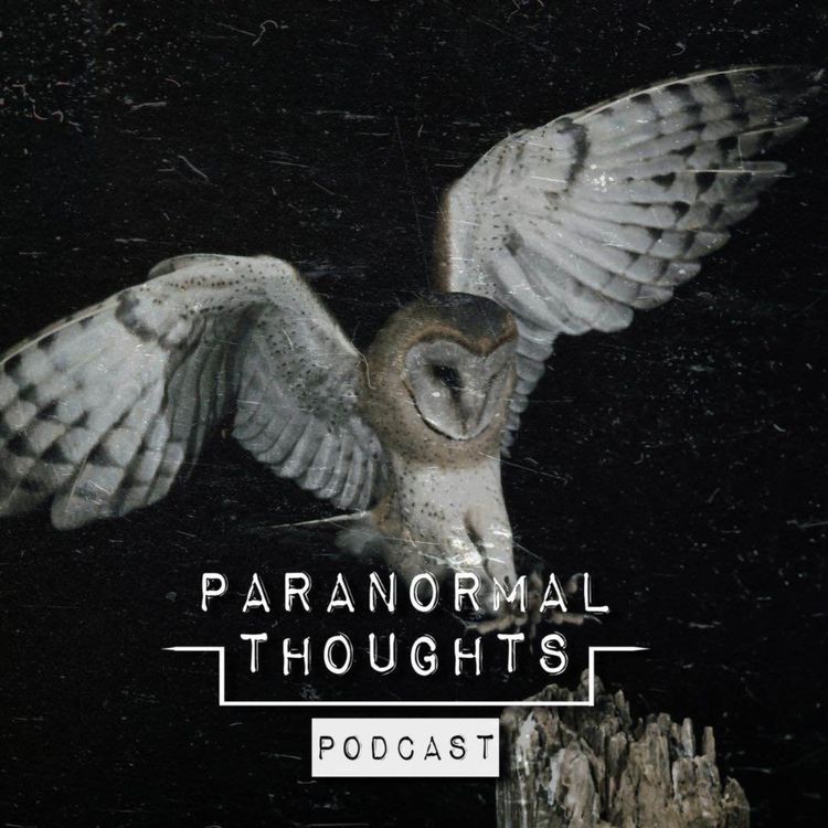 cover art for Owls & Synchronicity Podcast