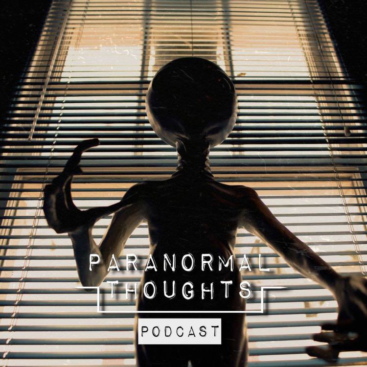 cover art for Interview with an Abductee: Danielle's Alien Abduction Podcast