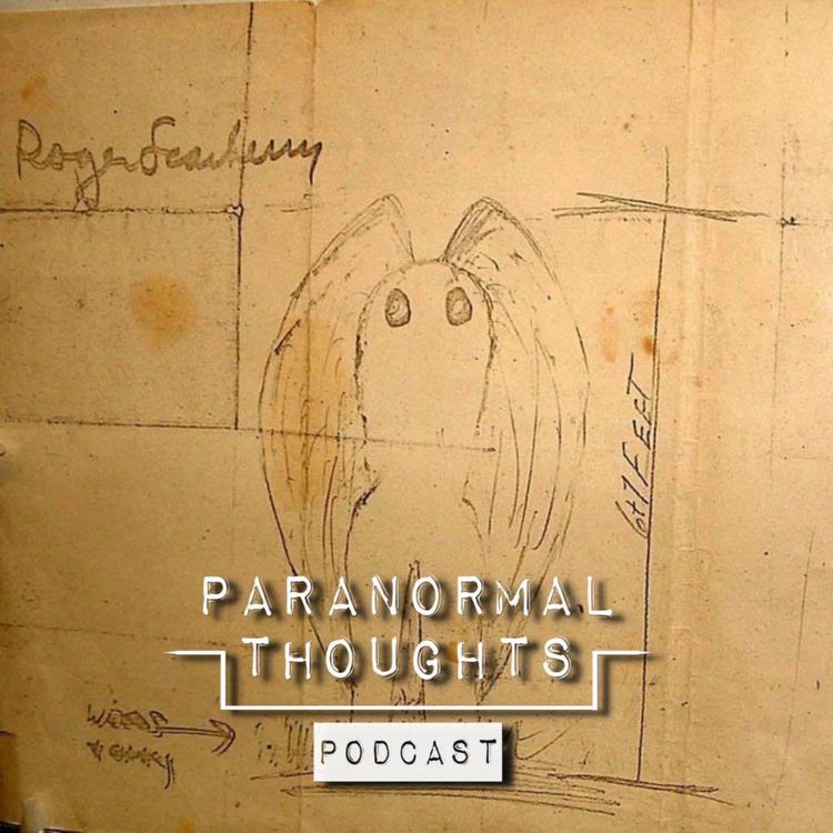 cover art for The Witnesses of The Mothman 