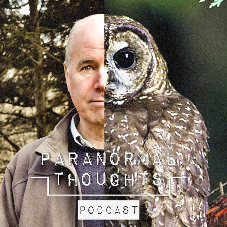 cover art for Mike Clelland - Owls, Synchronicity & UFO Abductees Podcast