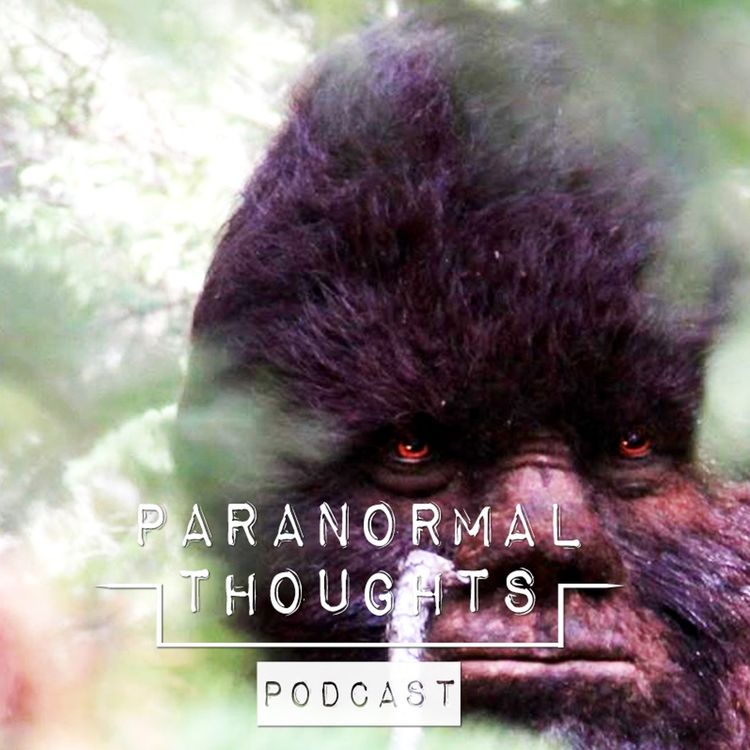 cover art for Bigfoot - Sasquatch - Yowie - Yeti Podcast