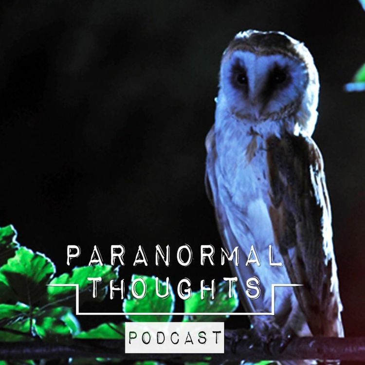 cover art for Rob & Trish MacGregor - Owls, Aliens & Synchronicities Podcast
