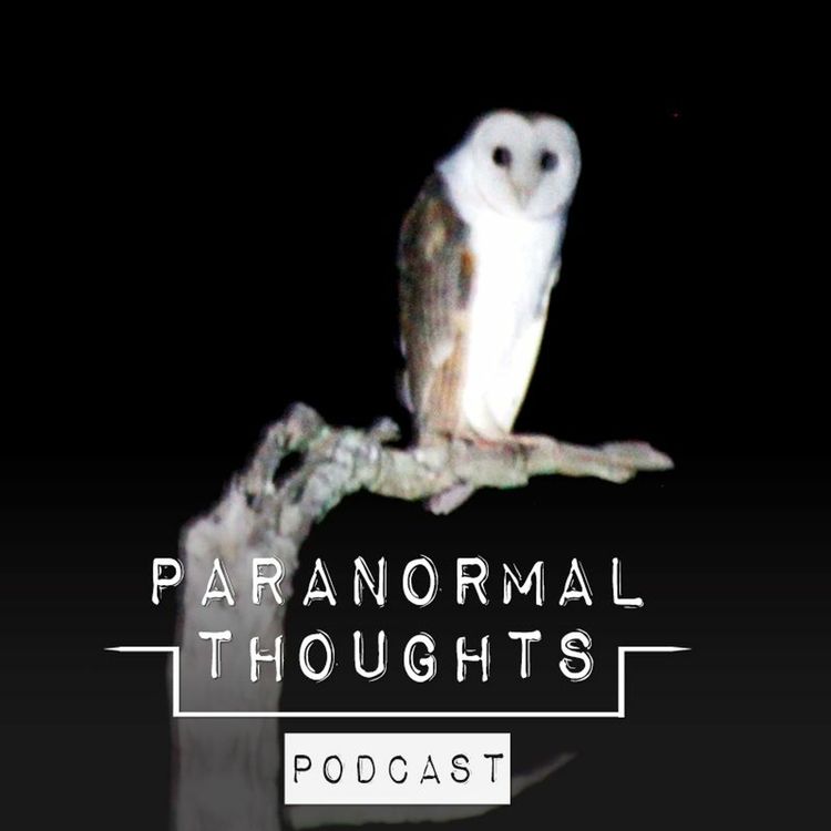 cover art for Synchronicity in Owls and Extraterrestrials Podcast