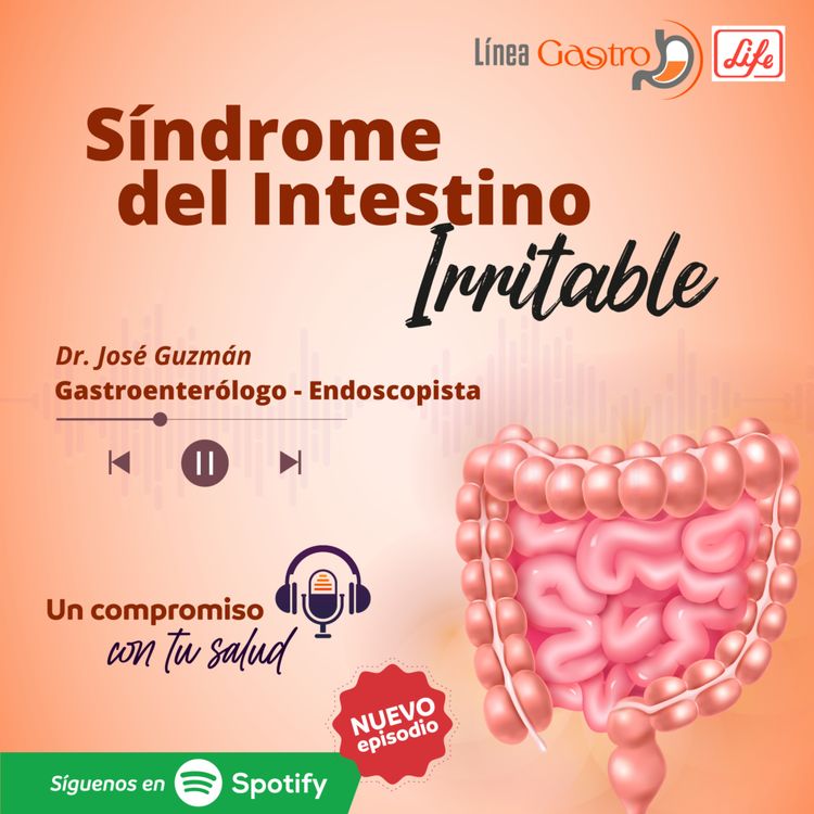 cover art for Síndrome de Intestino Irritable
