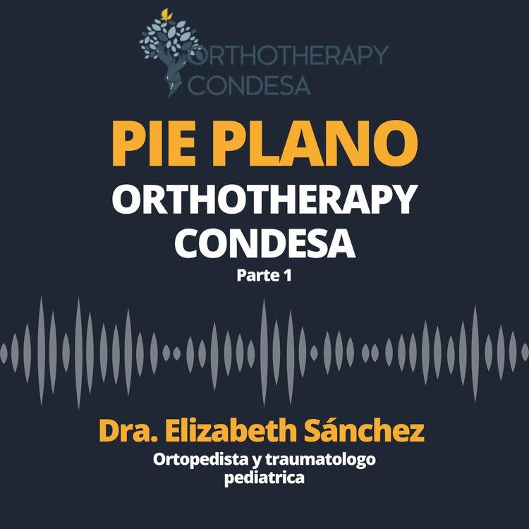 cover art for Pie Plano parte 1