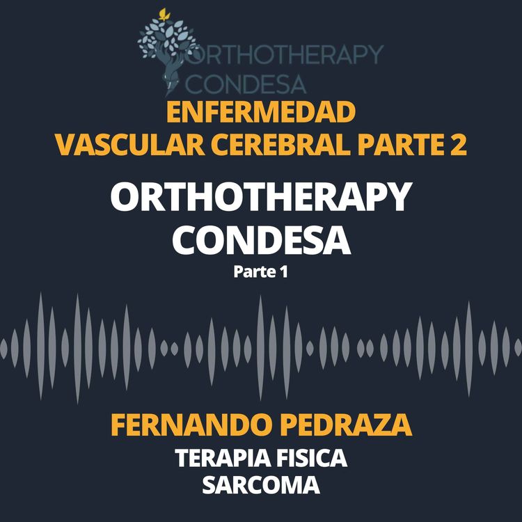 cover art for Enfermedad vascular cerebral parte 2