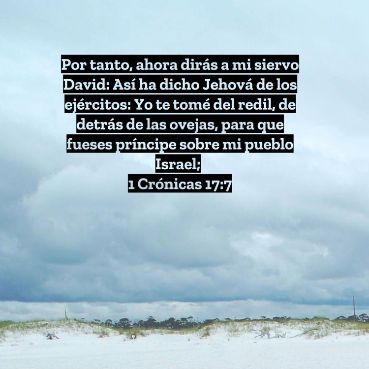 cover art for Adorar como David