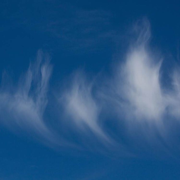 cover art for Die Zirruswolken - Cirrus - CI