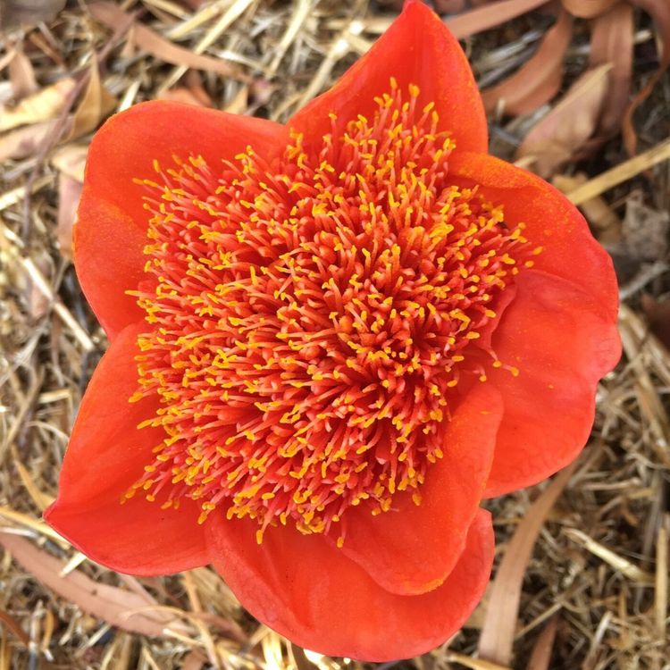 cover art for Variations on a Theme of Surya Namaskar Episode 6