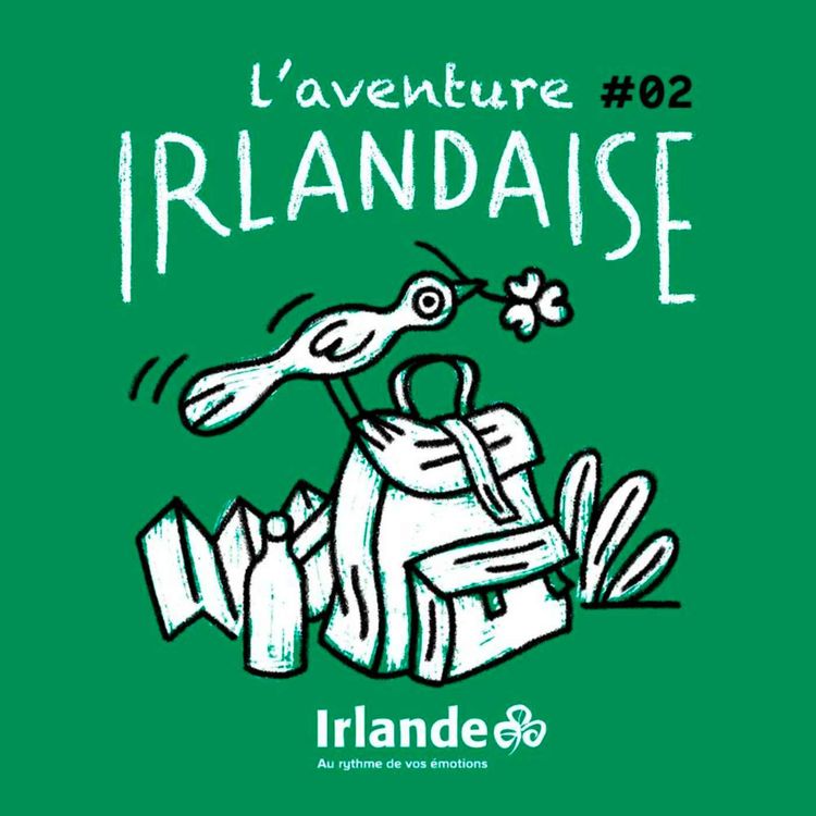 cover art for L'aventure irlandaise: Marcher en liberté