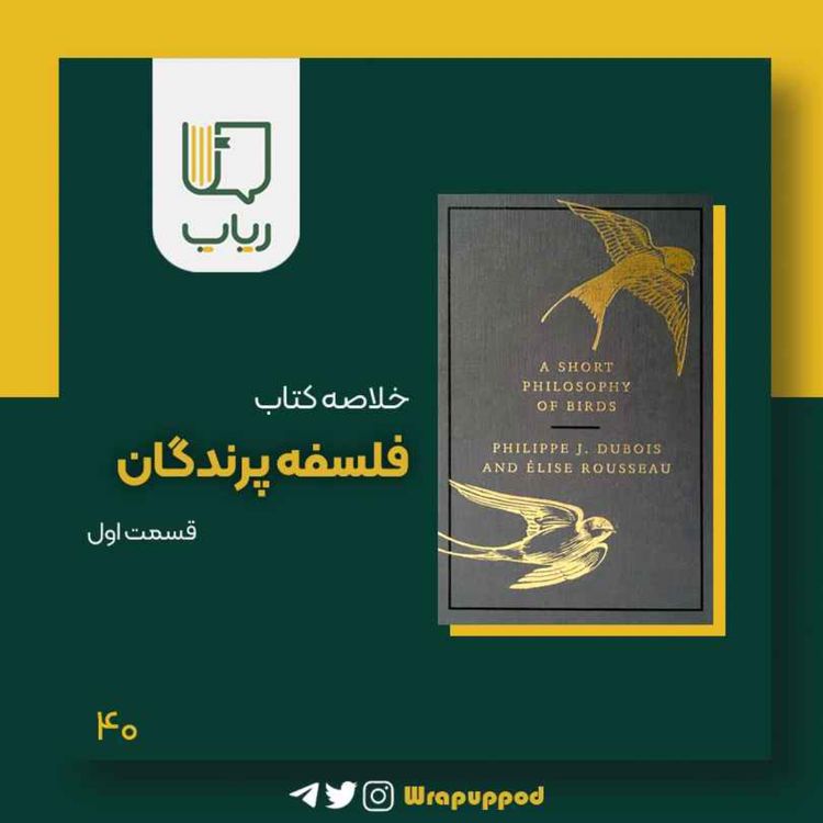 cover art for فلسفه پرندگان / قسمت اول