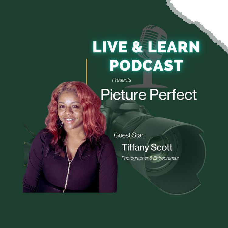 cover art for Picture Perfect