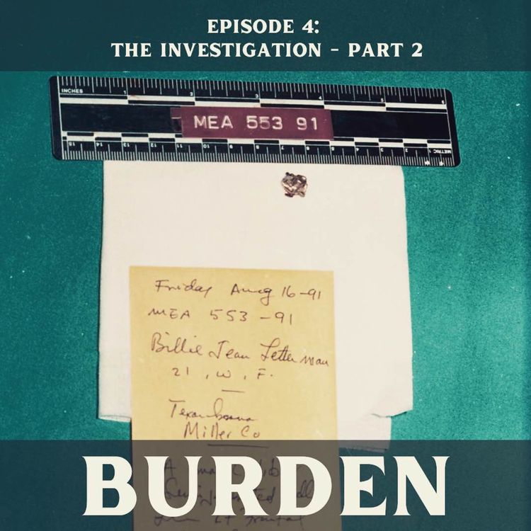 cover art for The Investigation - Part 2