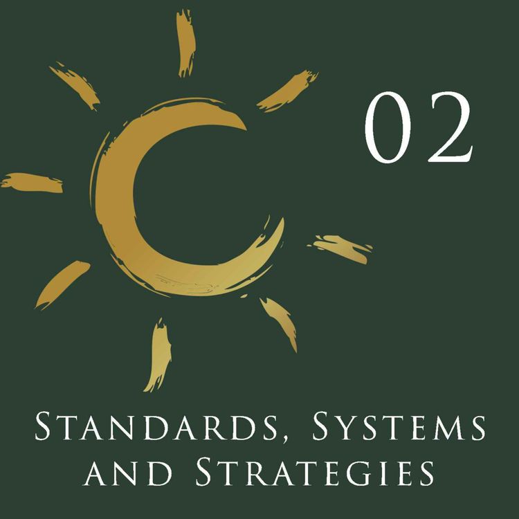 cover art for Standards, Systems and Strategies