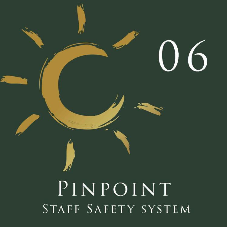 cover art for Pinpoint Staff Safety System