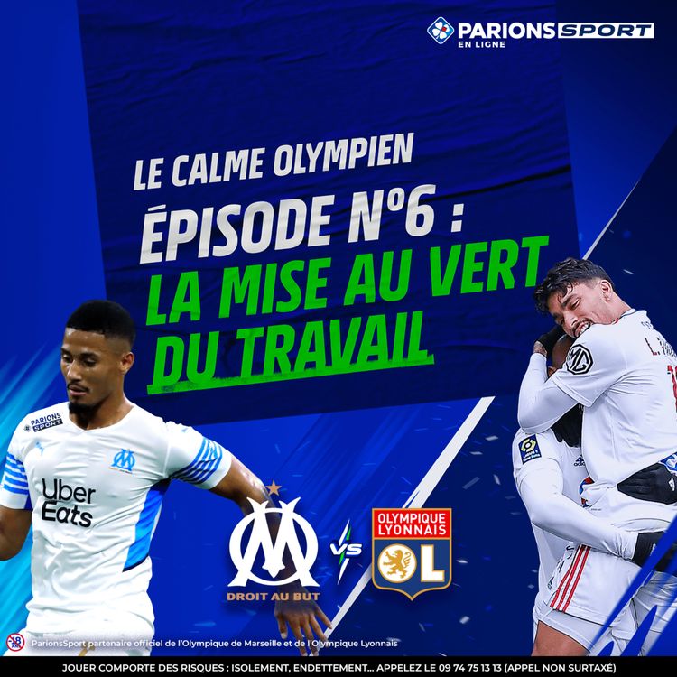 cover art for La Mise au vert du travail 
