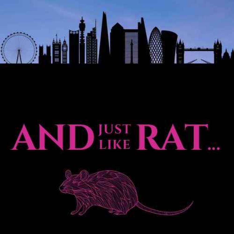 cover art for Rat Race 🐀