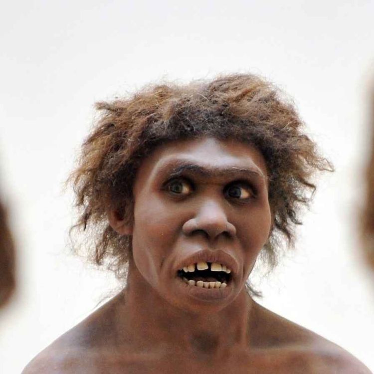 cover art for اپیزود اول: انسان تنها حیوانیست که...