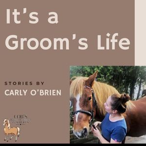 cover art for It's A Grooms Life