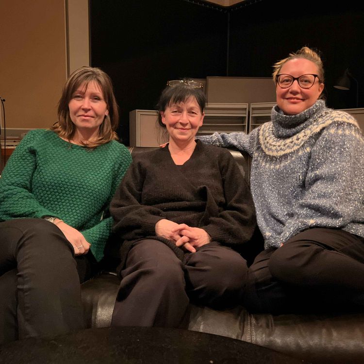 cover art for Kinesisk medicin obalanser i kroppen och det holistiska.