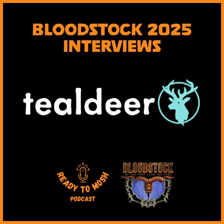 cover art for The Bloodstock Festival Interviews: tealdeer