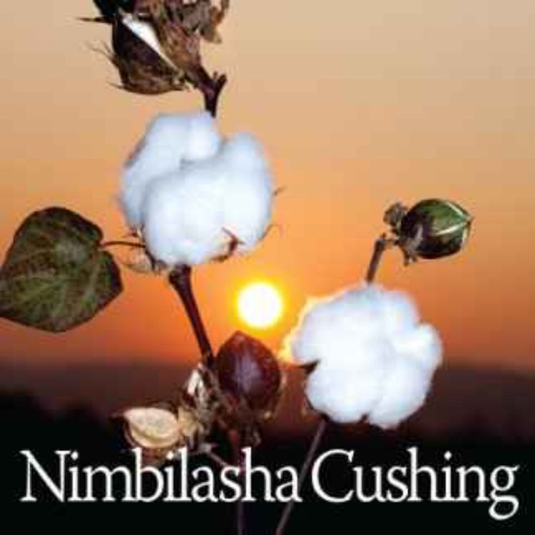cover art for Bookable Space with Nimbilasha Cushing Part II