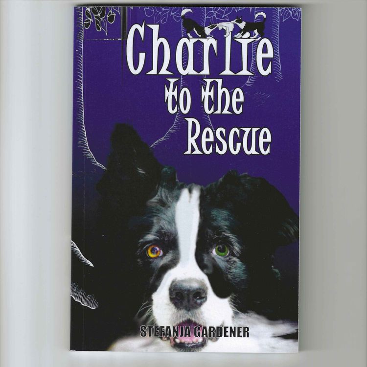 cover art for Bookable Space with Steffi Gardener