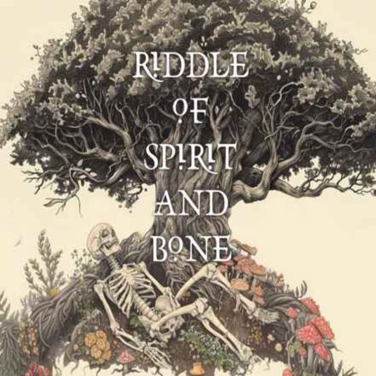 cover art for Bookable Space Riddle of Spirit and Bone