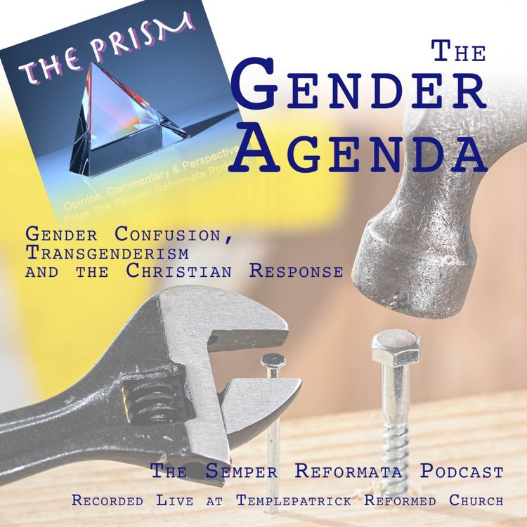 cover art for The Gender Agenda