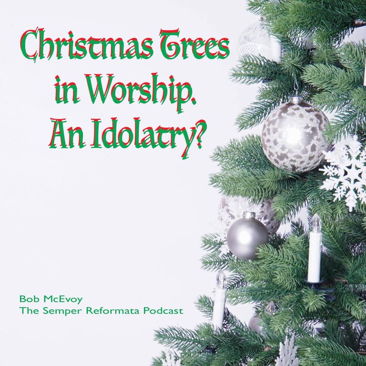 cover art for Christmas Trees in Worship - An Idolatry?