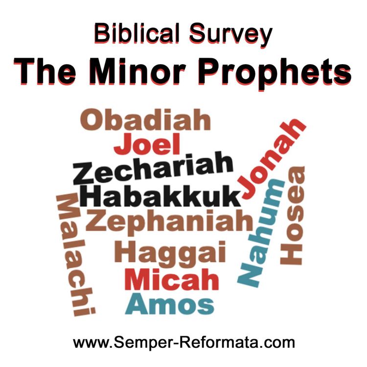 cover art for The Minor Prophets - Zachariah #7
