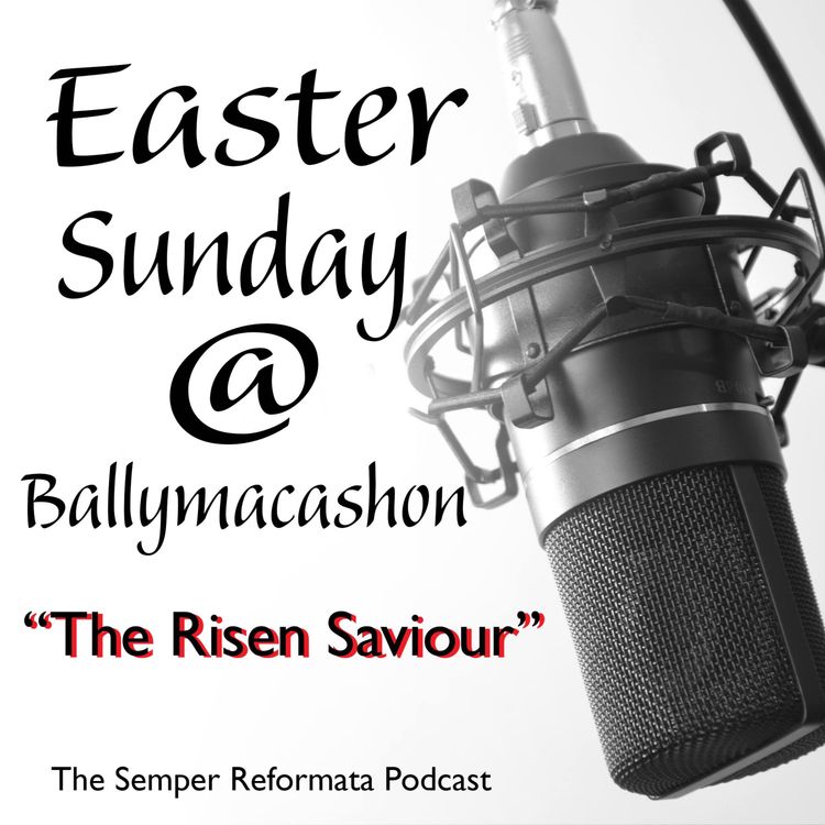 cover art for The Risen Saviour.