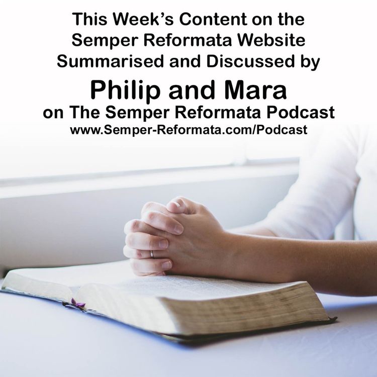 cover art for Blog Summary! 
