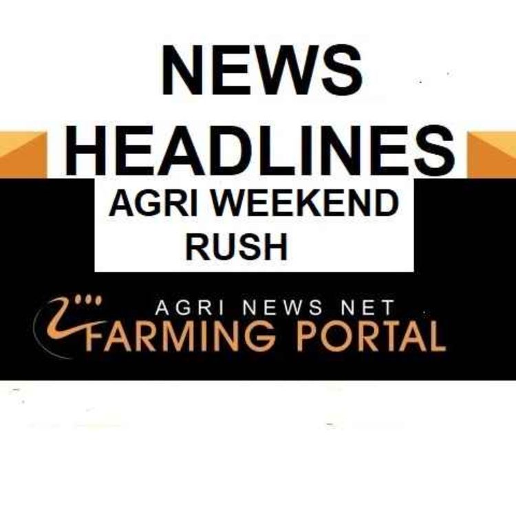 cover art for AGRI NEWS RUSH - News Headlines Weekend 18 May 2024
