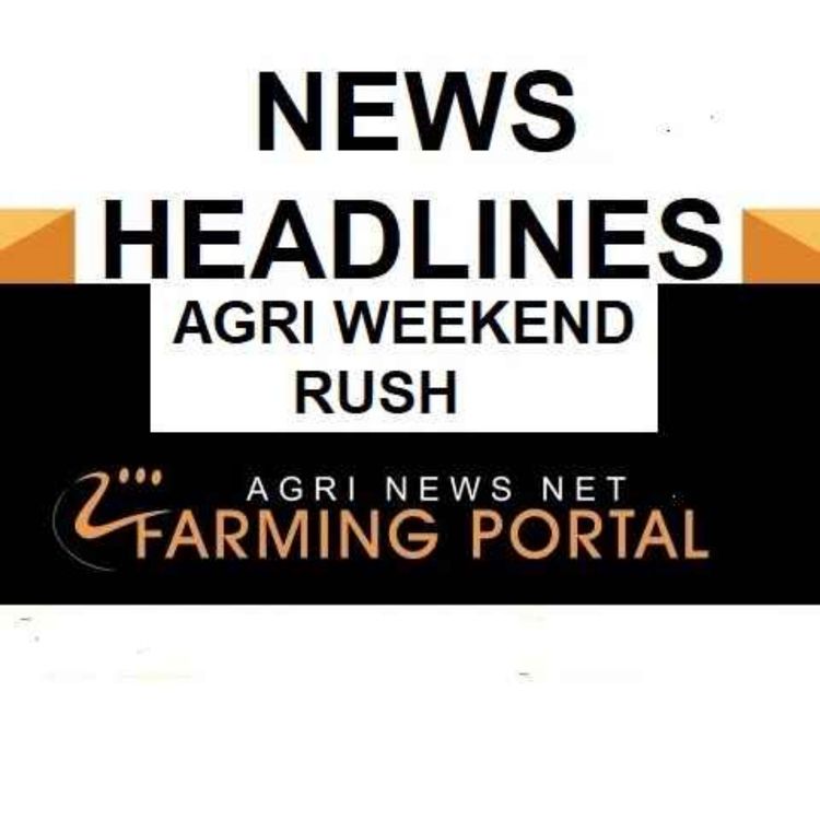 cover art for AGRI NEWS RUSH - News Headlines Weekend 25th May 2024