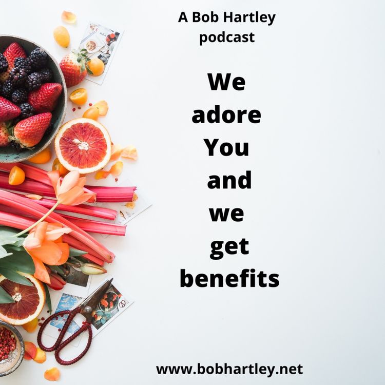 cover art for We adore You and we gain benefits!