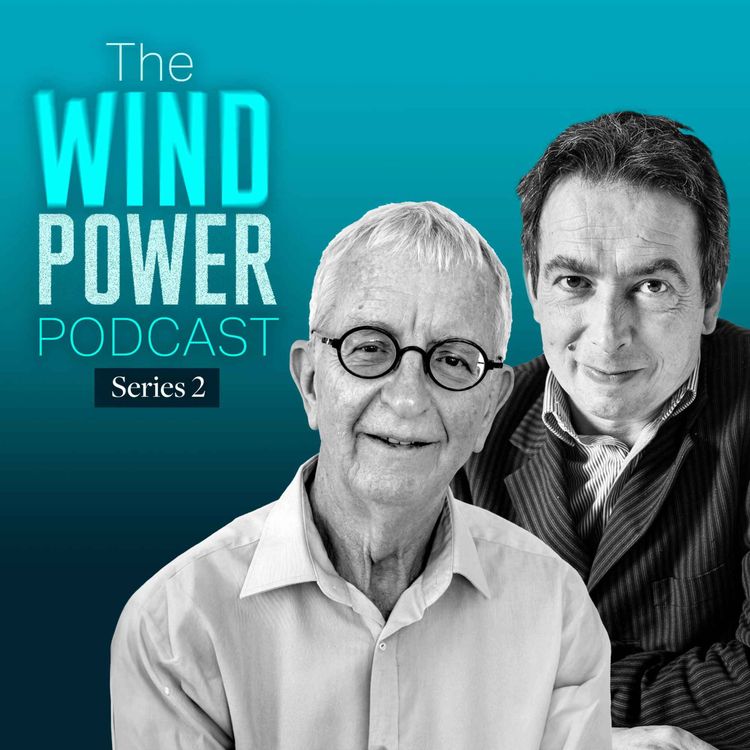 cover art for Eize de Vries – Turbine firms learn by scaling quickly and taking risks