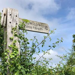 cover art for The Quiet Men of England