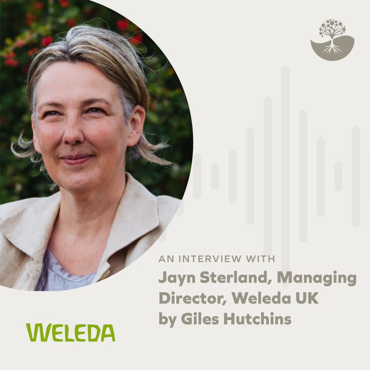 cover art for Jayn Sterland: Managing Director of Weleda UK