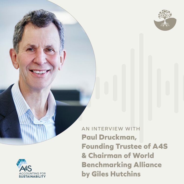 cover art for Paul Druckman: Chairman, World Benchmarking Alliance and Founding Trustee of A4S