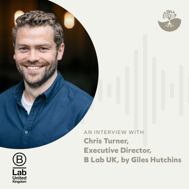 cover art for Chris Turner: Executive Director of B Lab UK