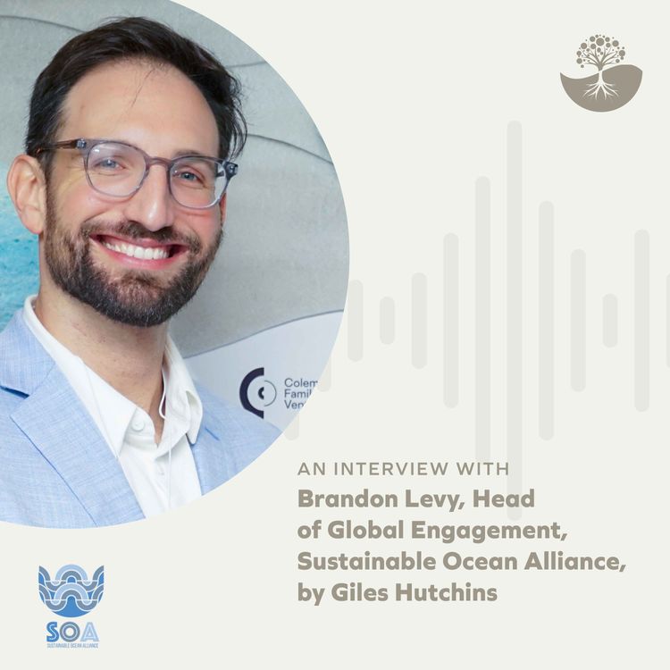 cover art for Brandon Levy: Head of Global Engagement at Sustainable Ocean Alliance