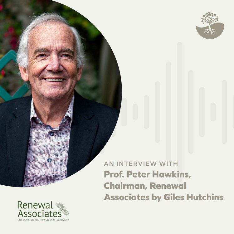 cover art for Professor Peter Hawkins: Chairman of Renewal Associates