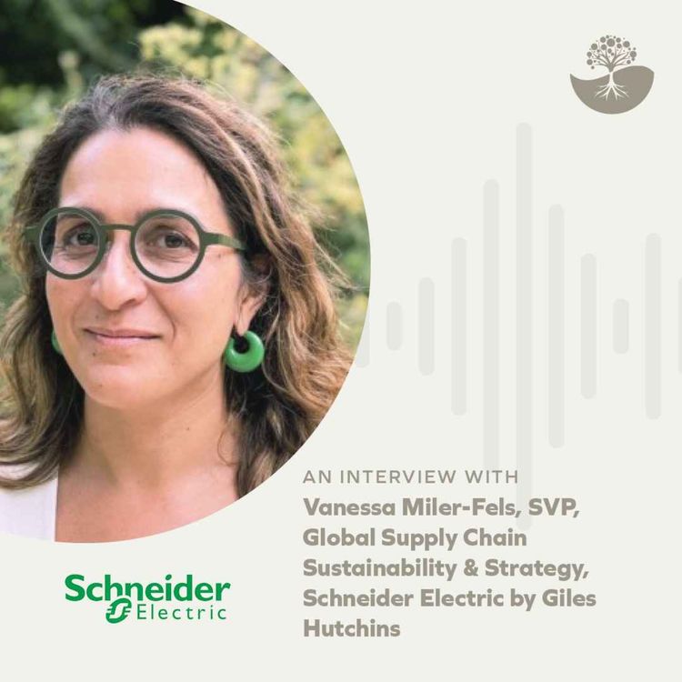 cover art for Vanessa Miler-Fels: Senior Vice President, Global Supply Chain Sustainability & Strategy, Schneider Electric