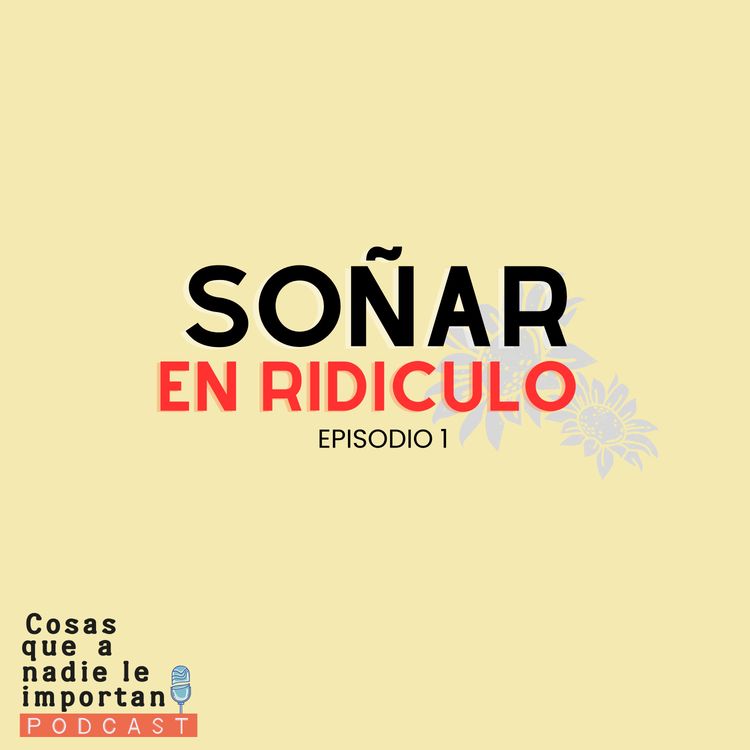 cover art for Soñar en ridículo