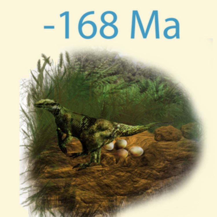 cover art for La balade géologique de Bach