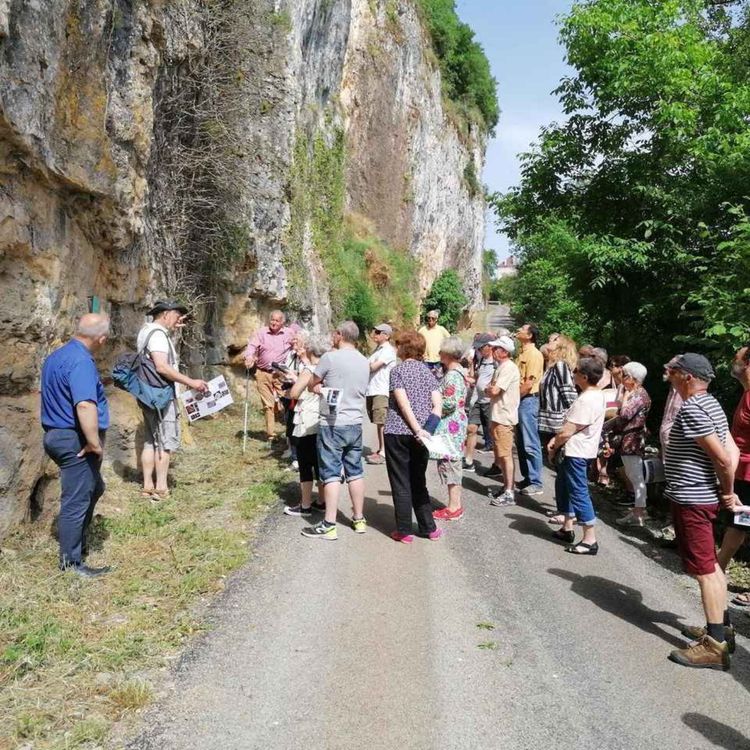 cover art for La coupe Géologique de Calvignac