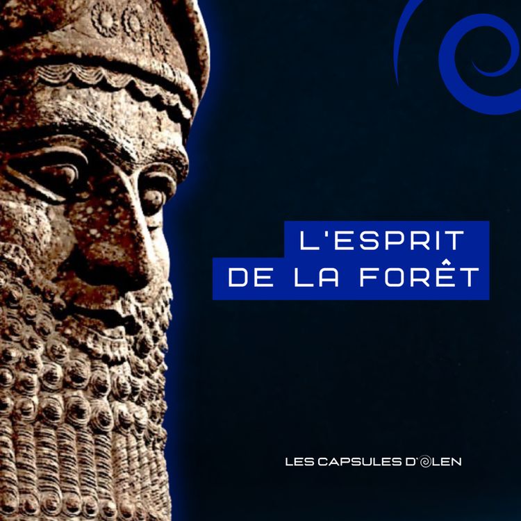 cover art for Capsule 6/10: Humbaba, l'esprit de la forêt, avec Gilgamesh vers 2650 av. J.C.