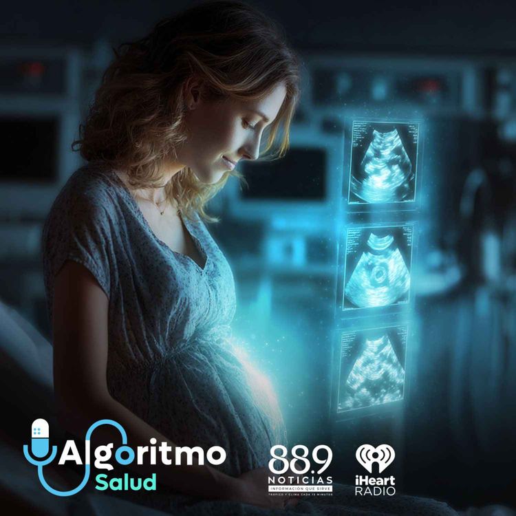 cover art for Maternidad digital